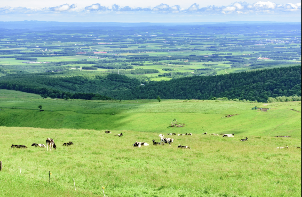 Hokkaido Tokachi Area
